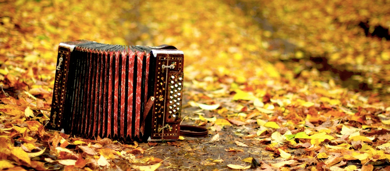 Accordion - wwww.jpeg