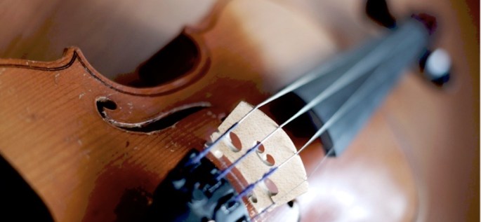 Violin - www.jpeg